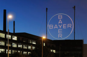 Bayer_BM