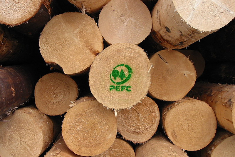 PEFC: stop alla certificazione per legname da Russia e Bielorussia