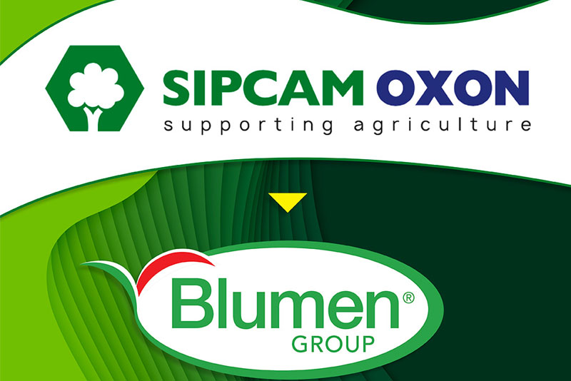 Blumen: il futuro, dopo l’acquisizione da parte di Sipcam Oxon